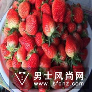 vans小草莓多少钱 vans小草莓发售价格