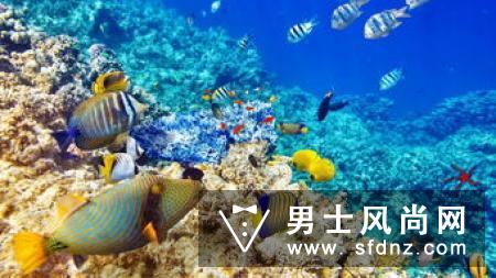 夏日轻松打造海洋风格