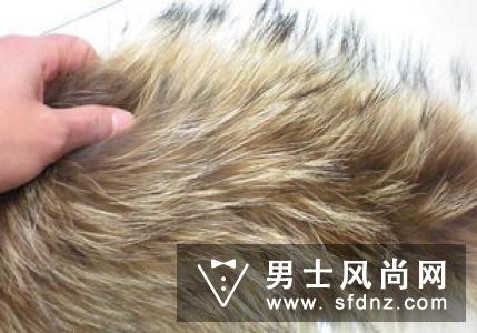买的新帽子怎么发说说 买大了怎么办