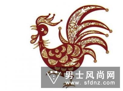 生肖鸡和猴穿什么颜色鞋子 生肖鼠和猪穿什么