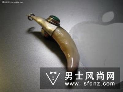 这个狼牙为什么那么贵?