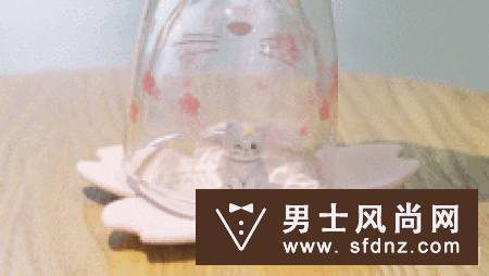 2019星巴克樱花包在哪买 套装有什么及多少钱