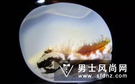 海洋玉髓有收藏价值吗 为什么不值钱