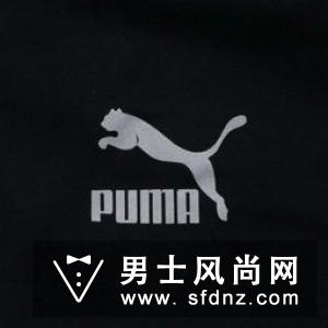 swarovski是什么牌子 swarovski是什么档次