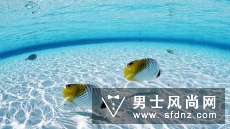 马贝珍珠是海水珠吗 怎么挑选
