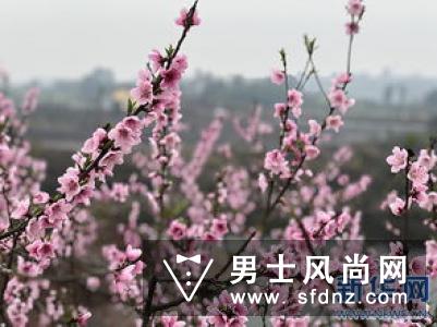 PAN'TTERFLY 2019 A/W发布会：鸢尾花开正当时