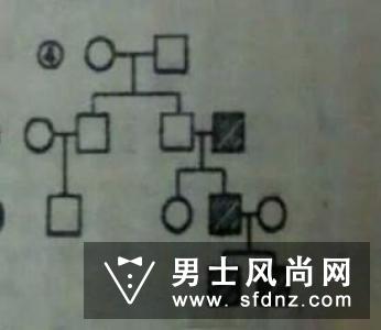 inspos是什么意思 po照片是什么意思